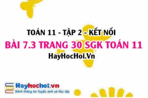 Bài 7.3 trang 30 Toán 11 tập 2 Kết nối tri thức